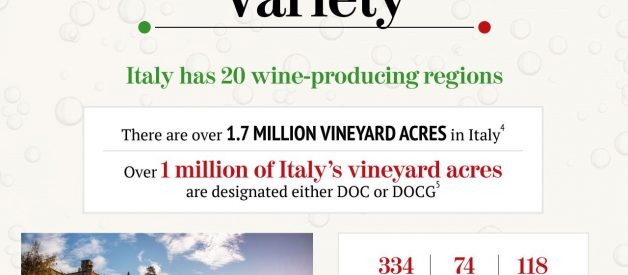 Italian wines by the numbers [Infographic]