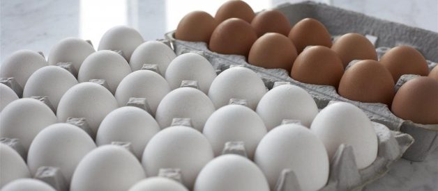 America’s egg farmers donate record-breaking 46 million eggs to food banks