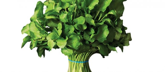 Feel-good food: 5 facts you may not know about watercress
