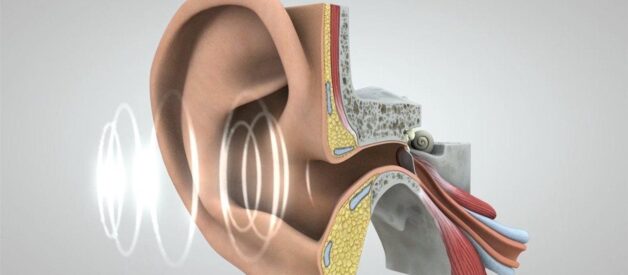 Protect Your Hearing When Life Gets Loud